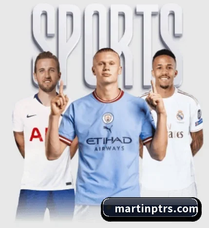 mk体育五大内容板块,覆盖赛事直播与实时比分